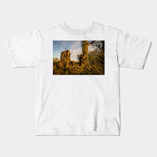 Crooked Forest - 2011 Kids T-Shirt